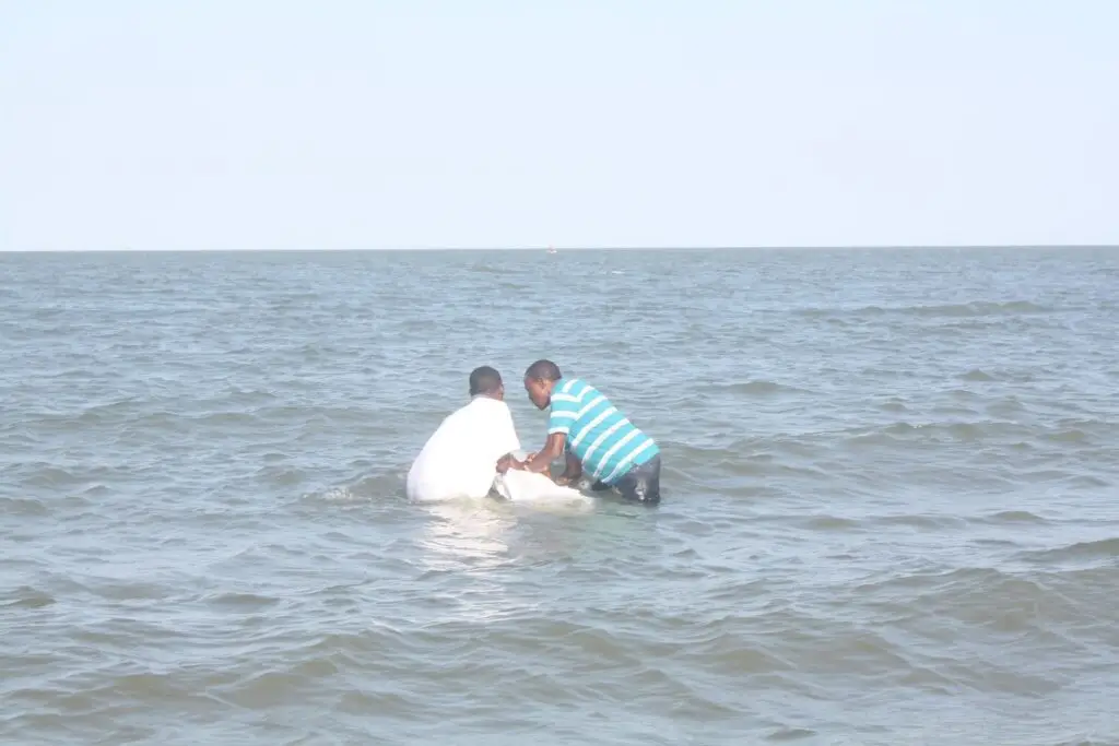 My New Life in Christ