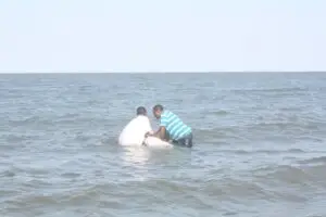 My New Life in Christ