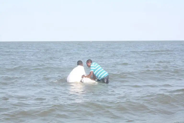 My New Life in Christ